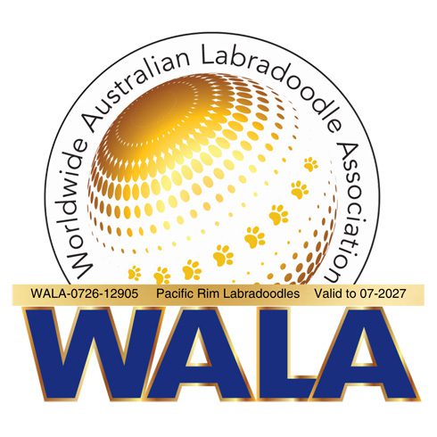Pacific Rim Labradoodles is a proud member of Worldwide Australian Labradoodle Association.